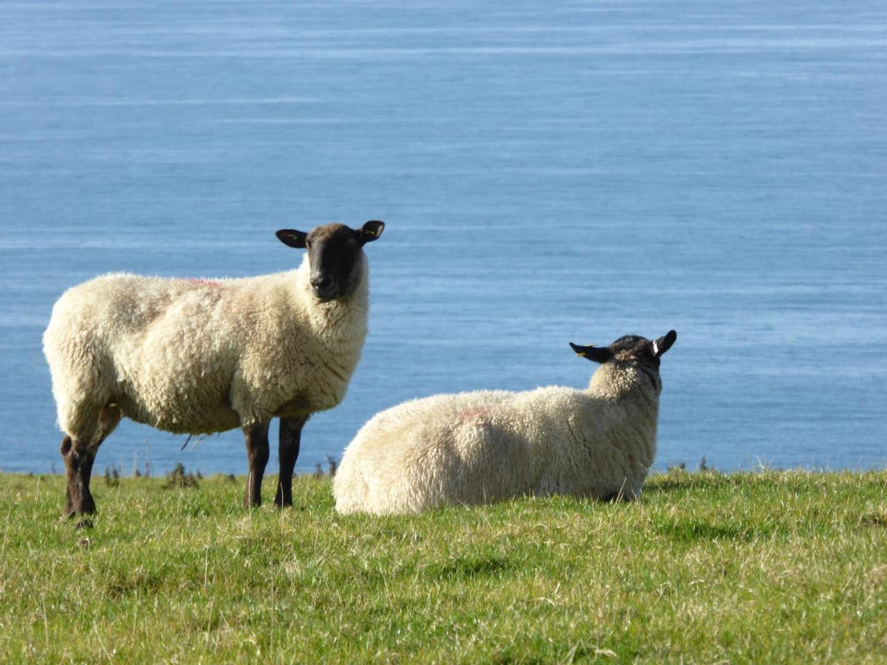 Lower Tresmorn Farmhouse Crackington Haven Exterior photo