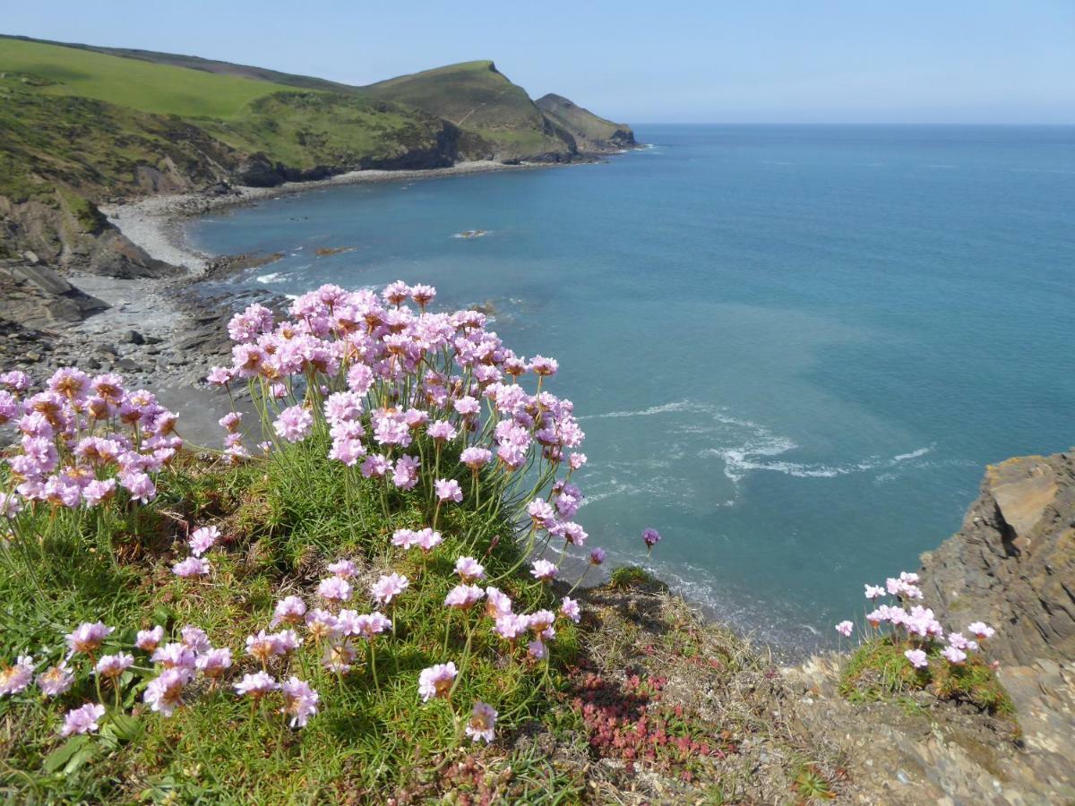 Lower Tresmorn Farmhouse Crackington Haven Exterior photo